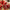 Vintage Red Velvet Headband for Women – Padded Wool-Style Hairband, Christmas Hair Accessory