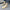 Women's PU Leather Slip-On Ballet Flats - Comfortable Loafers for Spring & Autumn