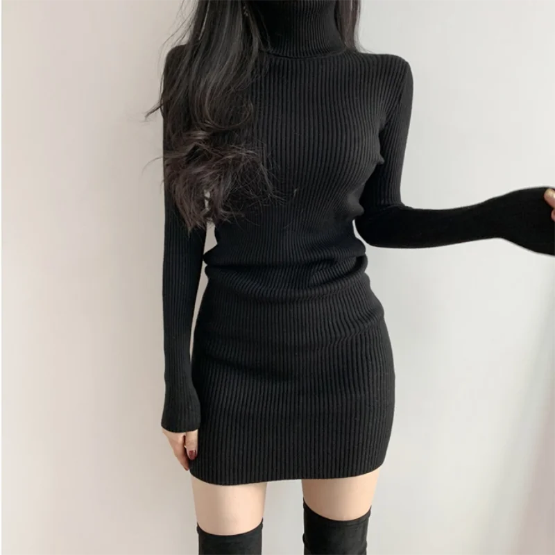Women Autumn Winter Warm Turtleneck Bodycon Knit Mini Dress Long Sleeve Office Pullover
