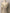 Chic Gothic Slim V-Neck Knit Pullover - Long Sleeve Slim-Fit Sweater, Y2K Fairy Grunge Streetwear