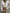 Women's Elegant Chiffon V-Neck Blouse - Loose Long Sleeve Office Tunic Top