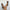 Women's Square Toe Open-Toe Buckle Strap Sandals — Low Heel (3–5 cm / 1.2–2.0 in) Summer Dress Shoes