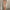Women's High-Waist Bodycon Midi Dress Off-Shoulder Vintage Bling Satin Party Dress with Front Split