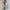 Satin Slip Maxi Dress – Sleeveless Backless Bodycon Party & Evening Dress