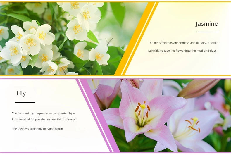 10ml (0.34 fl oz) Water-Soluble Essential Oil for Aroma Diffusers — 17 Scents (Lavender, Rose, Eucalyptus, White Peach, Oolong, Ocean)