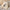 Plus Size Women's Panda Jacquard Knit Sweater – Autumn/Winter Casual Soft Jumper