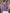 Fashion100% Merino Wool Sweater Cashmere  Pullover Women Knitwear V-Neck Long Sleeve  Autumn Winter Fashion Basic Clothing  Tops