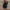 Women's Ribbed Knit Long-Sleeve Sweater Dress – Slim Fit Round Neck, Above-Knee