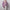 Korean Slim Satin Blouse for Women, Office Casual Long Button Shirt Solid Multicolor