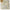 Women's Lace-Up Bow Crop Cardigan - V-Neck Knit Long Sleeve Korean Aesthetic Top