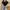 Korean Knit Turn-Down Collar Crop Blouse - Short Sleeve Slim Summer Top for Women