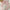 Women's Lace-Up Bow Crop Cardigan - V-Neck Knit Long Sleeve Korean Aesthetic Top
