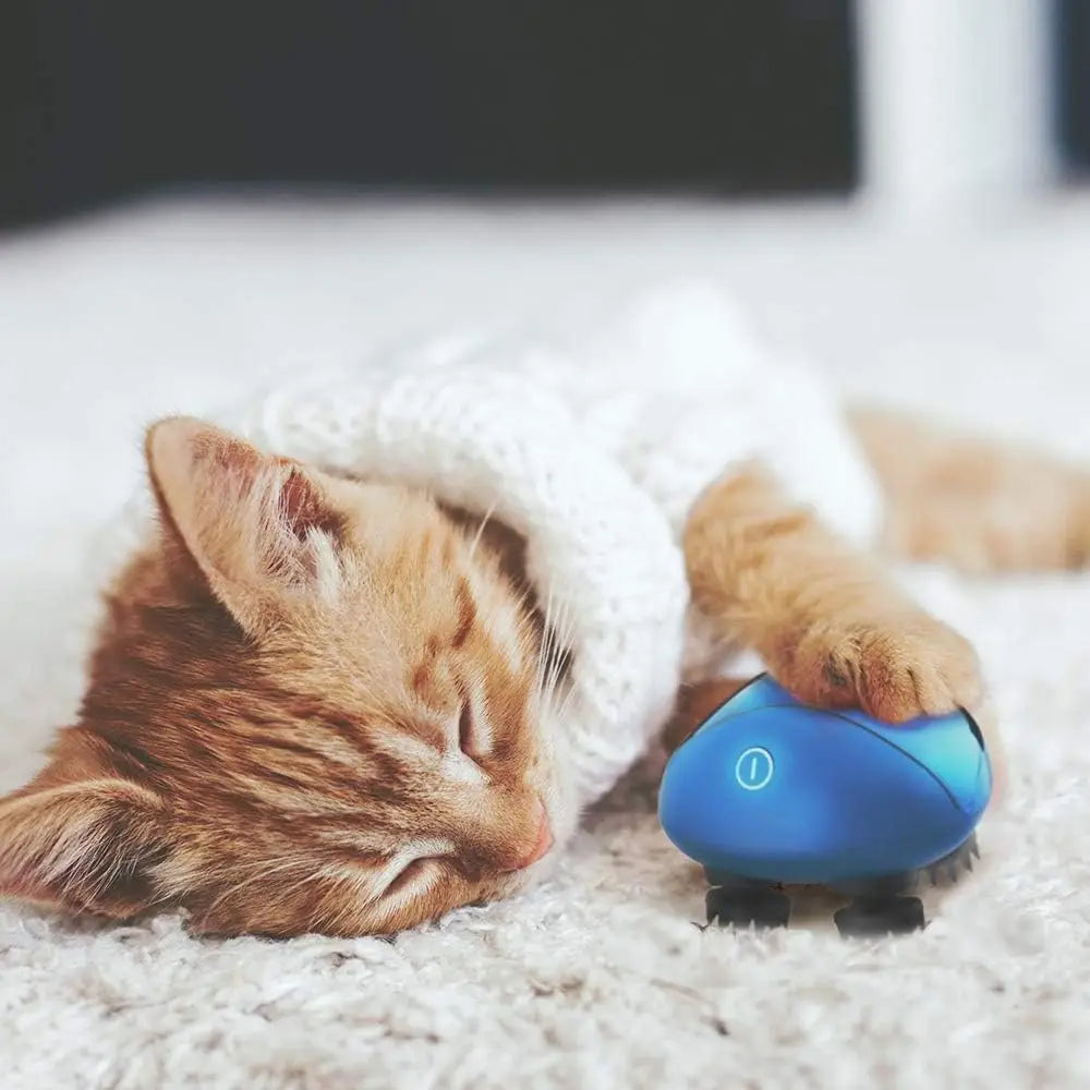 Breo Scalp Mini Wireless Blue Scalp Massager – Portable Waterproof Head Massager for Hair Growth & Relaxation