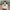Kawaii Jirai Kei Lolita Y2K Japanese Style Peter Pan Collar Blouse Long Sleeve Sweet Bow Casual Aesthetic Top