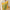 Luxury Horse Print Square Scarf - Vintage Imitation Silk Shawl Head Wrap, Windproof, 110 x 110 cm (43.3 x 43.3 in)