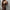 Women's Faux Leather Belted Coat with Fur Trim – Streetwear Elegant Outwear