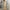 Spring Summer Women's Slim Knit Mermaid Midi Dress, Cotton-Blend Hollow Knit, O-Neck Mid-Calf Flared Hem