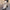 Women’s Two-Piece Patchwork Shirt & Maxi Skirt Set — Long Sleeve Elegant Office Outfit for Spring/Autumn
