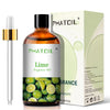 PHATOIL 100ml (3.4 fl oz) Fragrance Oil — Coconut, Peach, Blueberry, Mango, Apple, Banana, Grape, Lemon for Diffusers, Soap & Candle Making