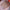 24pc Christmas Press-On Nails Set Medium Long Snowman Santa Snowflake Square Tips