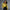 Korean Slim Satin Blouse for Women, Office Casual Long Button Shirt Solid Multicolor