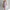 Women's Floral Sleeveless V-Neck Bodycon Mid-Calf Dress – Beach Vacation Summer Streetwear