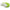 Handheld D-Shaped Double Roller Anti-Cellulite Massager — Slimming Tool for Face, Legs & Body