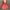 Girls Ballet Tutu Dress – Puffy Princess Dance Dress for Kids, Summer Performance & Party