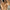 Women's Merino-Blend Mock Neck Sweater - Soft Long-Sleeve Pullover, Casual Solid Knit (Autumn/Winter)