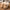 Faux Suede Cotton Slippers - Warm Winter Indoor/Outdoor House Shoes for Men & Women