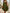 Plus Size Women's Strappy Asymmetrical Hem Midi Dress (XL-5XL) - Sleeveless Casual Summer Sundress