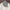 Luxury Satin Square Scarf 70 x 70 cm (27.6 x 27.6 in) – Silk-Feel Polyester Shawl Hijab Neckerchief Hair Ribbon Headband Bandana