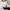 Korean Style Women's White Long Sleeve Blouse – Office Casual Button Turn-Down Collar Top