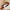 Vintage Lattice Print Wide Sponge Elastic Headband for Women & Girls - Fashion Hair Hoop