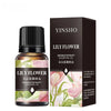 10ml (0.34 fl oz) Water-Soluble Essential Oil for Aroma Diffusers — 17 Scents (Lavender, Rose, Eucalyptus, White Peach, Oolong, Ocean)