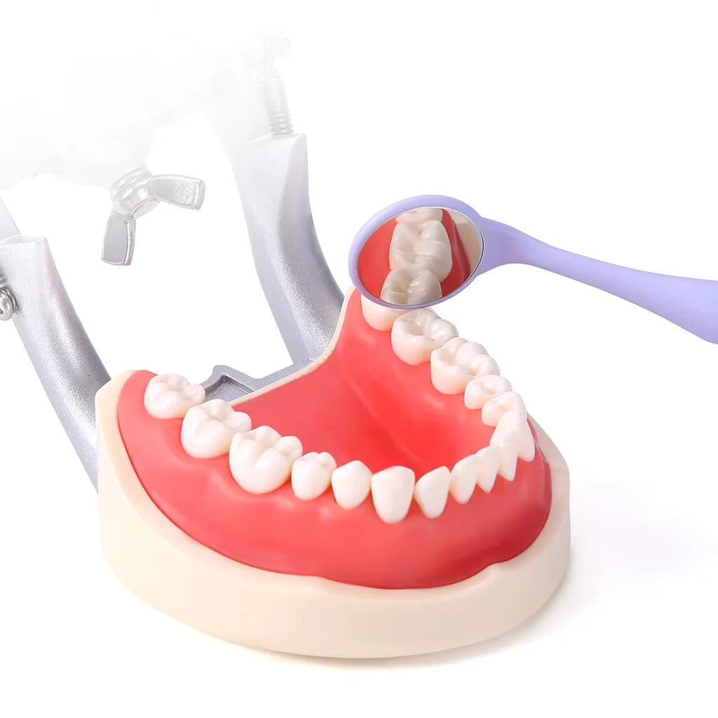 10-Pack Dental Mouth Mirrors Anti-Fog Autoclavable Front-Surface Exam Mirrors with Colorful Ergonomic Handles (17.5 x 2.2 cm / 6.9 x 0.87 in)