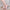 Women's Low Block Heel Sandals - Elegant PU Strappy Dress Heels (3–5 cm / 1.2–2.0 in)