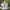 Baby Toddler Girl Tang-Style Hanfu Dress Summer Princess Outfit