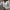 Women’s Lace V-Neck Pullover Blouse Long Sleeve Casual Shirt, Regular Fit with Tatting Trim - Spring/Summer