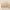 8-Piece Travel Makeup Brush Set – Concealer, Blush, Powder, Eyeshadow & Foundation Brushes