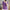 Women's V-Neck Short Sleeve Knit Top - Slim Casual Korean Pullover for Spring/Summer (Poly Cotton)