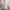 Girls' Summer Hanfu Princess Dress – Long Fairy Party Costume for Kids