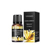 10ml (0.34 fl oz) Water-Soluble Essential Oil for Aroma Diffusers — 17 Scents (Lavender, Rose, Eucalyptus, White Peach, Oolong, Ocean)