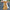 V-Neck Dolman Sleeve Polka Dot High-Waist Wide-Leg Jumpsuit for Women