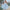 Floral Print Midi Sundress Spaghetti Strap Flowy Boho Beach Dress Fit and Flare