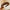 Vintage Lattice Print Wide Sponge Elastic Headband for Women & Girls - Fashion Hair Hoop