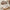 Women's Winter Cotton Plush Slippers — Warm Non-Slip Indoor/Outdoor House Shoes with Closed Back