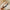 Vintage Lattice Print Wide Sponge Elastic Headband for Women & Girls - Fashion Hair Hoop