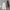 Plus Size Women's A-Line Skirt Summer Casual Mid-Calf Umbrella Skirt