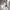 High-Waist Wide-Leg Jumpsuit for Women Casual Summer Zipper Front Floor-Length Street Style